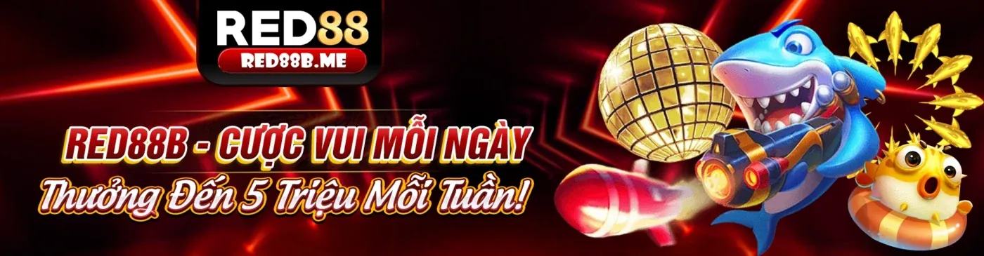 Tin tức 5pet mới nhất