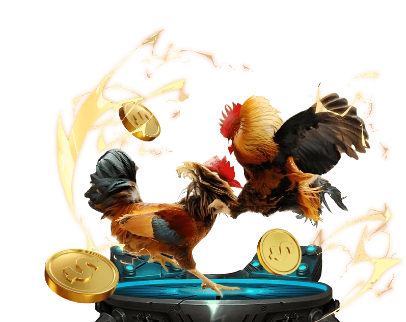 Đội ngũ và tầm nhìn phát triển của 5pet