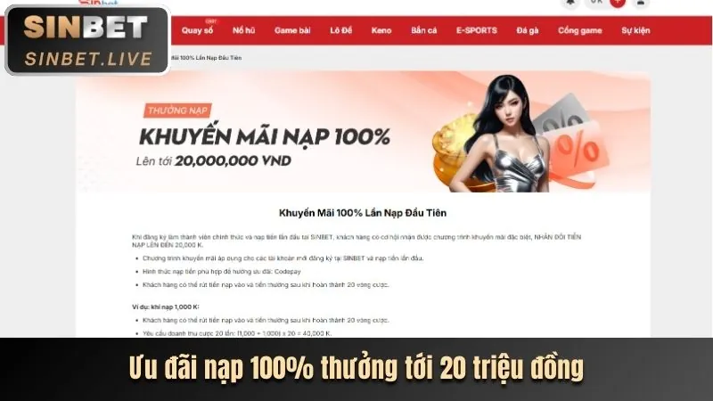 Ưu đãi đăng ký 5pet cho người mới